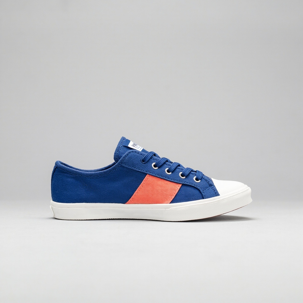 A colourful canvas sneaker product photo, the input a 3D model was generated from.