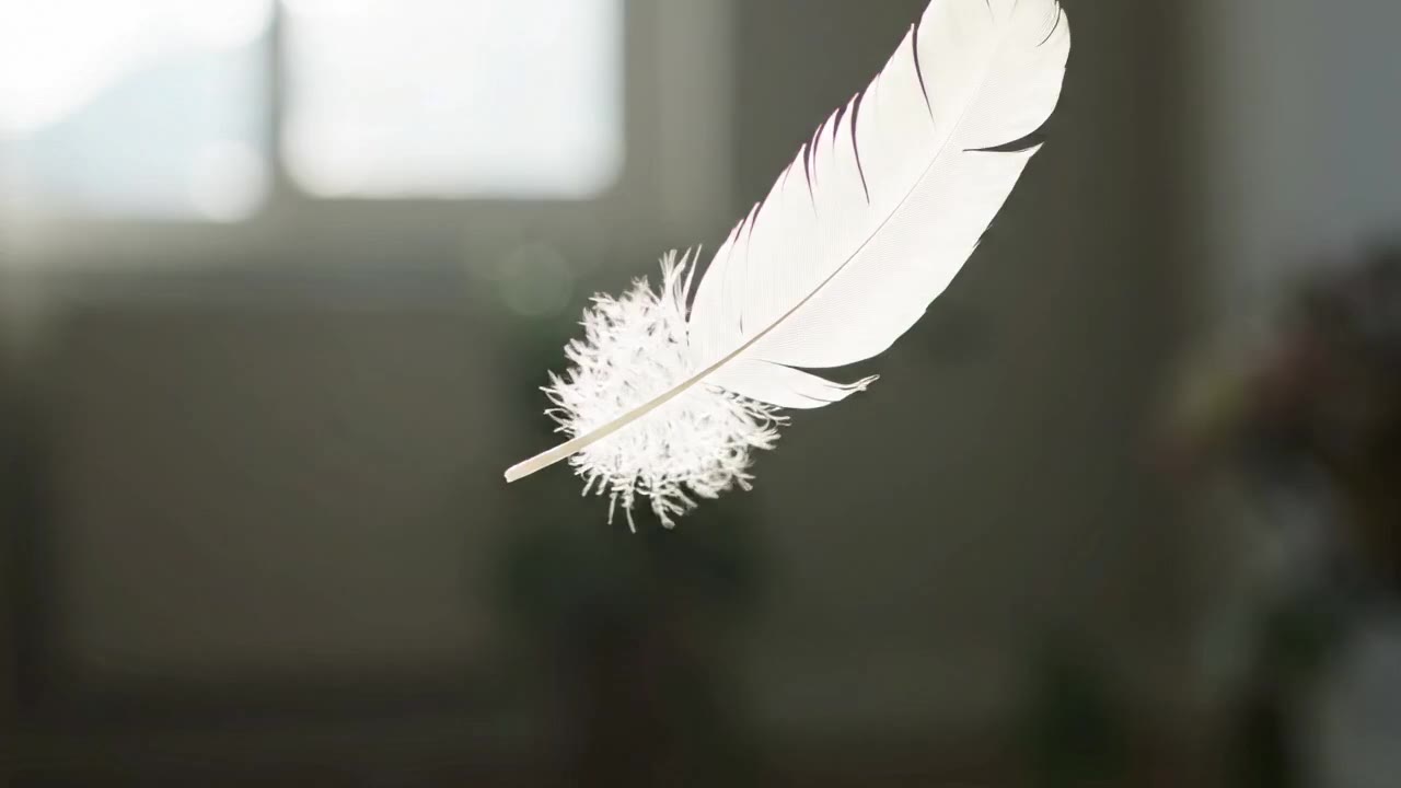 A single feather falling through a shaft of window light, demonstrating photorealistic physics.
